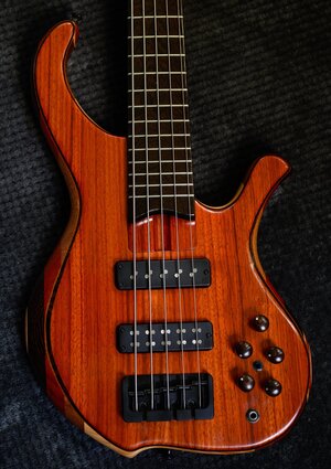 LowDown Bass Guitars Custom 5