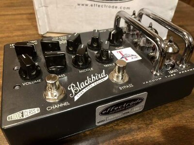 Effectrode Blackbird tube preamp **with free 12ay7 tube**