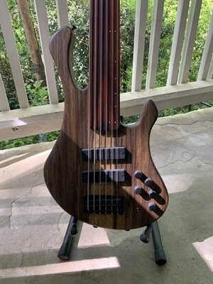 Clement 6 String Fretless Phoenix