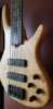 Roscoe Century Standard 5 fretless - under 8 lbs, videos