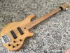 Lakland 55-01 W/Nordys and Audere