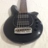 Ernie Ball Music Man - Bongo 6 HH