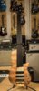 Warwick Masterbuilt 5 String Fretless Thumb Single Cut SC Bass