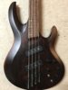 ESP LTD B-1004 Deluxe Multi-Scale