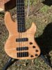 Valenti 5 string Maple Top Nordy/Lowend combo