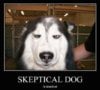 Skeptical-dog.jpg