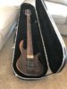 Elrick eVolution 5 string bass