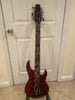 Carlo Robelli 12 String Bass Guitar