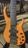 Modulus TBX6 graphite neck through body