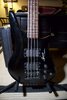 *FEELER* Steinberger Spirit Bass XZ-2