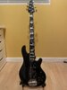 Lakland Skyline 55-02 Custom 5-string Bass Black Sparkle *Price Drop*