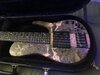 (Price Drop 7/15) Fodera Custom MG 5 string, Buckeye burl