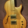 LeCompte CBSC-4 with DarkStar pickups