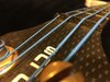 Price drop to $1000 - Modulus Graphite neck through 4 string Lefty bass