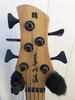 Roscoe Century Standard 5, Nordstrand pickups/pre