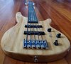 5.9 lb Paulownia body 5 String