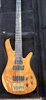 Zon Sonus Custom 5 string