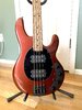 Musicman Stingray Special 4HH Dropped Copper w/ Black Hardware