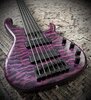 Modulus Q6 Purple Quilt 2009 w/OHSC