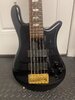 Spector Euro 5 (2001, Solid Maple, SNC HAZ)