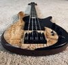 Fodera Yin Yang III Standard Special Tribute - Spalted and Flamed Top