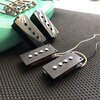 Lindy Fralin Precision Bass pickups STOCK WIND GOODNESS