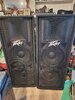 Peavey PVM 215 towers