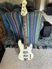 $375 shipped: Seed / Sago Kanderbird (Pbass with Tbird Pickups)