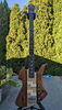 B.C. Rich Mockingbird BC