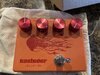 Kasleder Jellyfish Overdrive