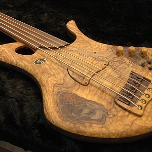 Ele Custom Basses - Vincent Saladino - 02.JPG