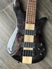 Spector NS2000-5 Dan Briggs Artist Series