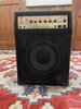 DAVID EDEN MN TIME TRAVELER COMBO AMP NEAR MINT