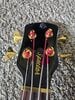 Brand new spector gold tuners