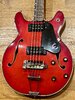 *MINT* 1970s Epiphone EA 260 Hollowbody