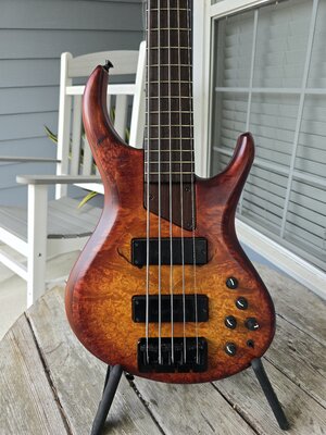 REDUCED PRICE 2000 MTD 535 Bass Tulipwood / Wenge / Wenge