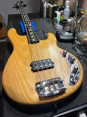 Status neck on Custom Stingray body.