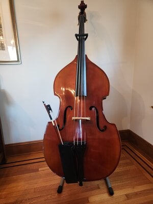 Liandro DiVacenza #150 Hybrid Bass Violin 2016