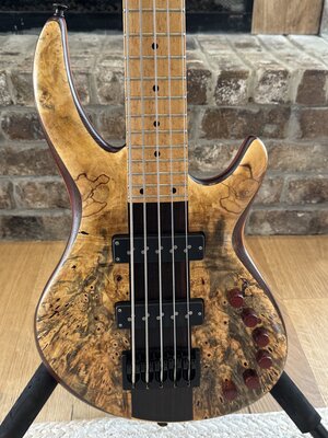 Wyn 5 String Buckeye Burl