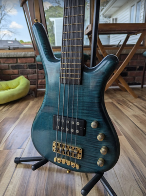 1999 Warwick FNA 5 String