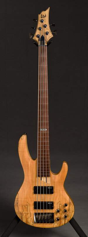 ESP LTD B205SMFL Fretless 5