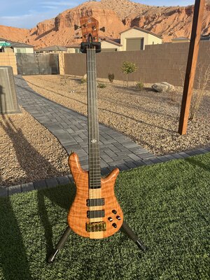 2023 Custom Spector USA NS-2 (in the NS-4 configuration) Curly Redwood