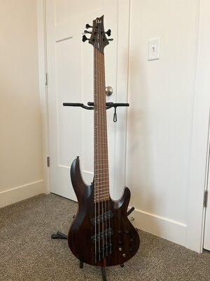 ESP/LTD B-1005MS 5 String Multiscale Bass