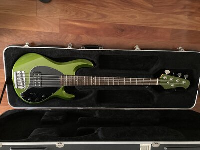 Ernie Ball Musicman Dargie Delight Stingray H Curated Instrument