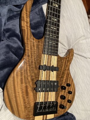 Carvin Bunny Brunel 5-String Bass, Loaded with Piezo, Walnut, Bod