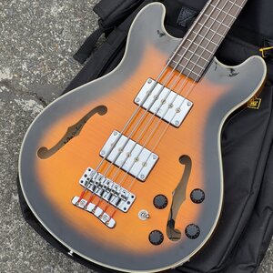 Warwick Star Bass (Rockbass) 5 w/ Hipshot, Thomastik