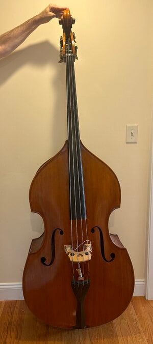 Samuel Shen SB200W 3/4 Size Carved Bass