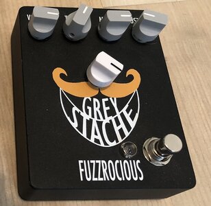 Fuzzrocious Grey Stache