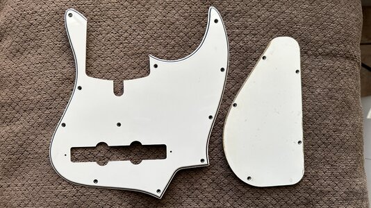 Alleva Coppolo LG5 Original Pickguards and back plates