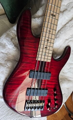 Carl S Bass Spank J5